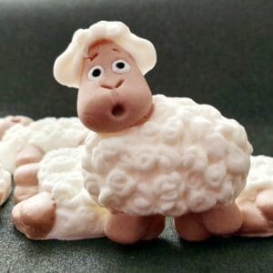 Sugar Sheep Stardom