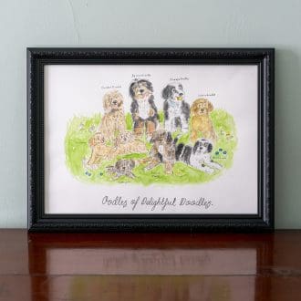 #labradoodles #cavapoos #bordoodles #cockapoos #goldendoodle #yorkiepoo #bernedoodle #sheepadoodle #aussiedoodle #sheepadoodle